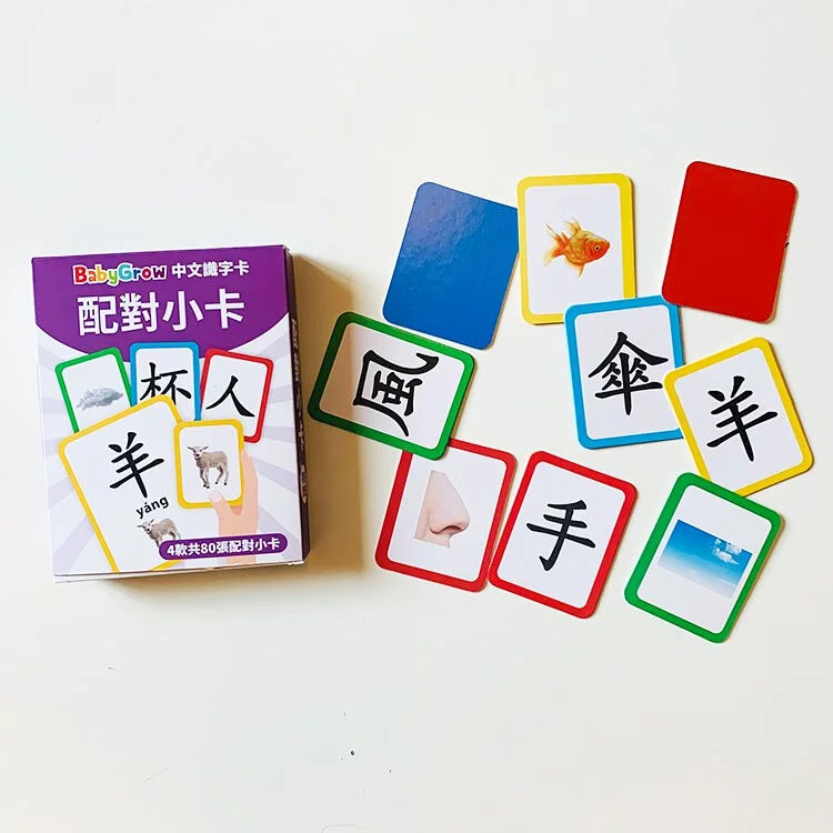 Curios 中文識字卡 (1套5盒學80個字)