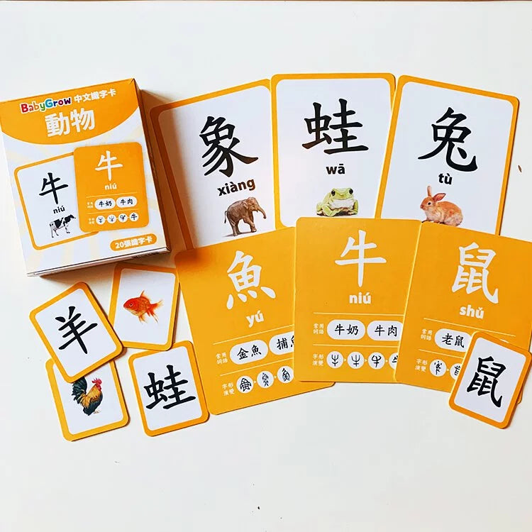 Curios 中文識字卡 (1套5盒學80個字)