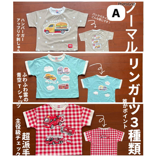 6/5 廠單 預購 (6月中至7月中)