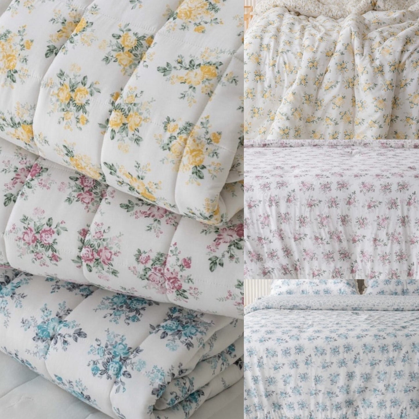 極舒服之韓國被團